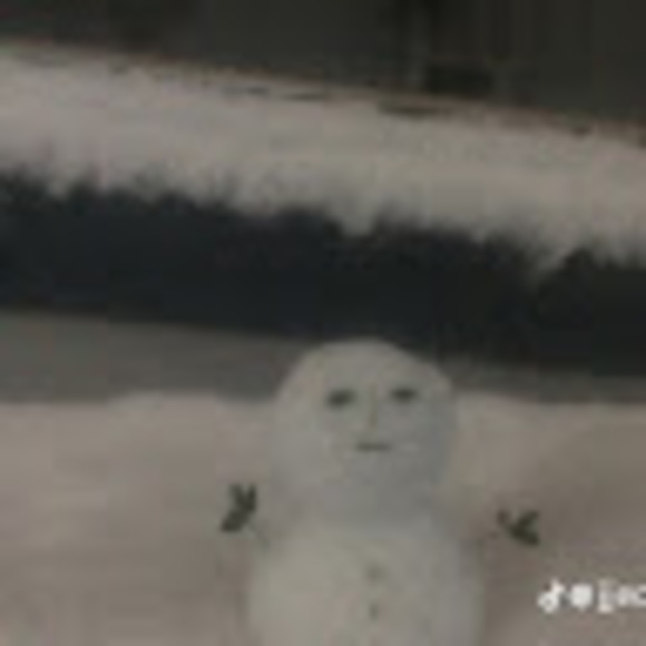 Meet your Posher, Phil - Picture 1 of 1